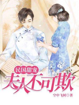 民国甜宠：夫人不可欺