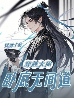 穿越大周,卧底无间道