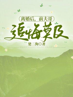 离婚后,前夫哥追悔莫及