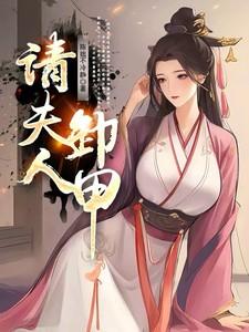 请夫人卸甲