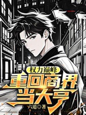 权力巅峰:重回商界当大亨