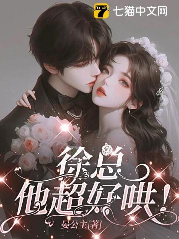 徐总,他超好哄!