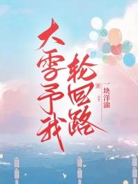 大雪予我轮回路