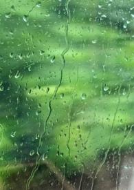 雨季1v1骨科