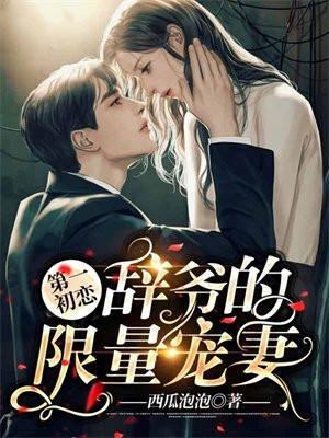 第一初恋,辞爷的限量宠妻
