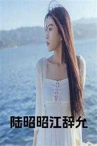 陆昭昭江辞允