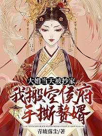 大婚当天被抄家?我搬空侯府手撕赘婿