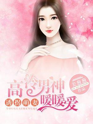 诱拐萌妻:高冷男神暖暖爱