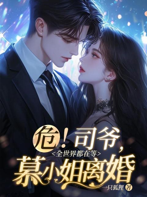 危!司爷,全世界都在等慕小姐离婚