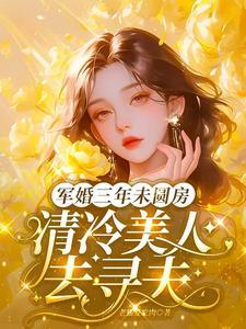 军婚三年未圆房,清冷美人去寻夫