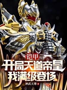 铠甲:开局天道帝皇,我满级登场