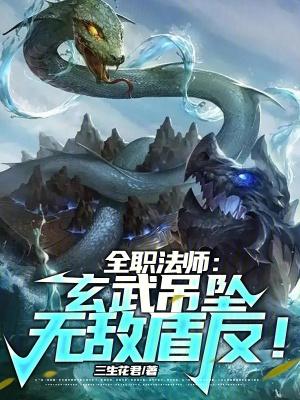 全职法师:玄武吊坠,无敌盾反!