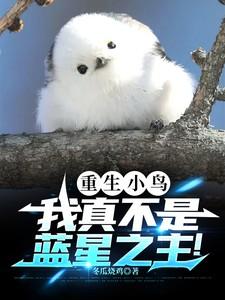 重生小鸟，我真不是蓝星之主！