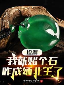 捡漏:我就赌个石,咋成缅北王了