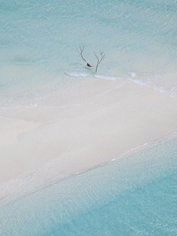 不被爱后她决定更改游戏规则