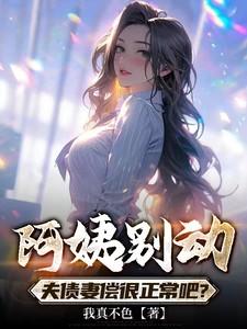阿姨别动,夫债妻偿很正常吧?