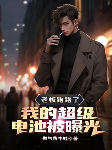 老板跑路了，我的超级电池被曝光