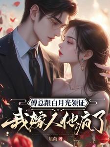 傅总跟白月光领证,我嫁人他疯了