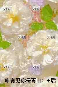 唯有见你是青山:+后续+结局