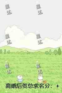 离婚后贺总求名分:+后续+结局精心编著