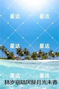 林岁窈陆厌辞月光未寄达的信:结局+番外