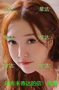 月光未寄达的信:结局+番外免费赏析