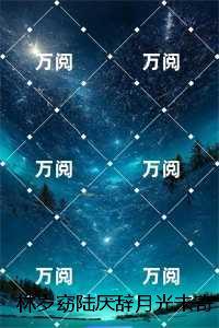 林岁窈陆厌辞月光未寄达的信:结局+番外高分佳作