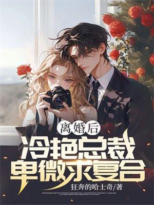 离婚后,冷艳总裁卑微求复合