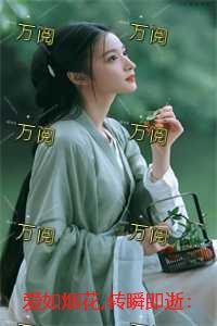 爱如烟花转瞬即逝：结局+番外