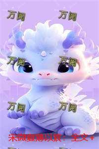 宋微夏薄以宸:全文+后续