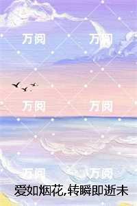 爱如烟花转瞬即逝未删减：结局+番外