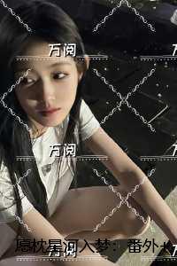 愿枕星河入梦:结局+番外优质全章