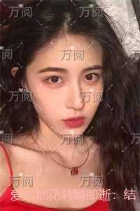 爱如烟花转瞬即逝:新上热文