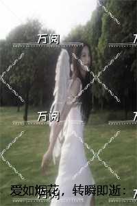 爱如烟花，转瞬即逝：完结版免费在线阅读