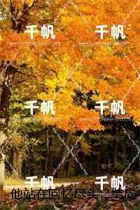 他站在回忆尽头:完整版免费在线阅读