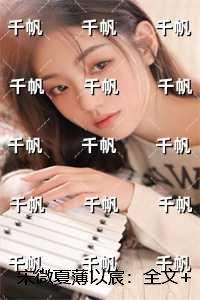 宋微夏薄以宸:全文+番外+后续