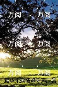 霜华染鬓情难守:必读文