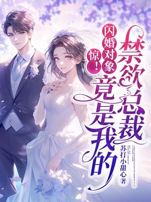 惊!闪婚对象竟是我的禁欲总裁