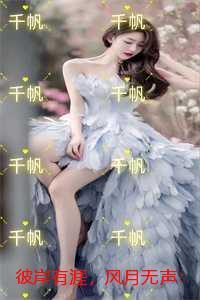 彼岸有涯,风月无声:高分言情