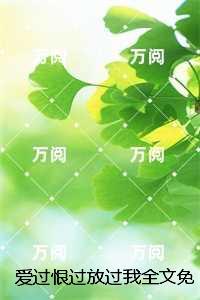 爱过恨过放过我:+结局+完结
