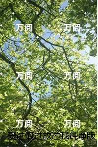 爱过恨过放过我纯净版:的小说
