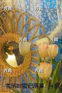 雪落时爱已落幕:章节试读