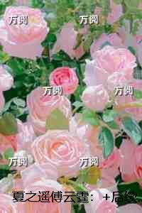 夏之遥傅云霆：章节试读