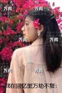 我在回忆里万劫不复:全文无删减
