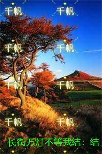 长街万灯不等我结:结局+番外