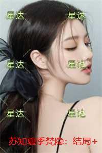 苏知夏季梵隐:小说