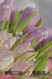 夫君二选一?草包美人吓哭了:无弹窗