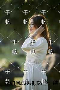 来如风雨去似微尘:免费+结局