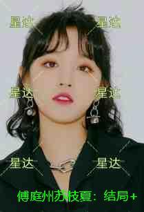 傅庭州苏枝夏:精品小说